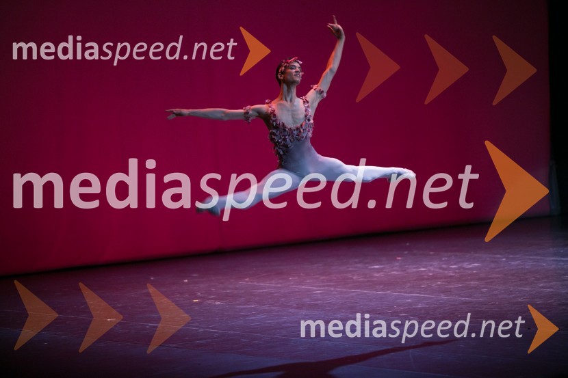 Gala baletni večer svetovnih zvezdGala baletni večer svetovnih zvezd