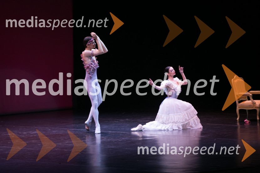 Gala baletni večer svetovnih zvezdGala baletni večer svetovnih zvezd