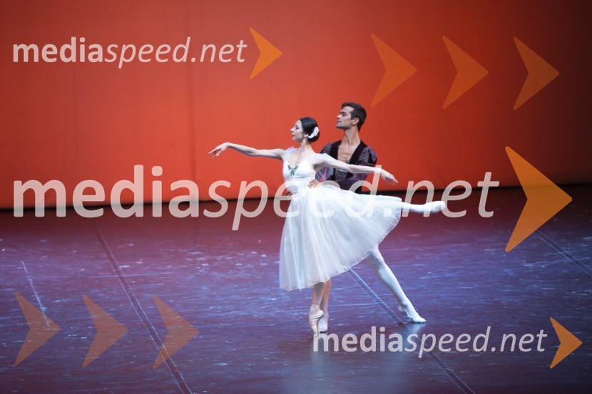 Gala baletni večer svetovnih zvezdGala baletni večer svetovnih zvezd