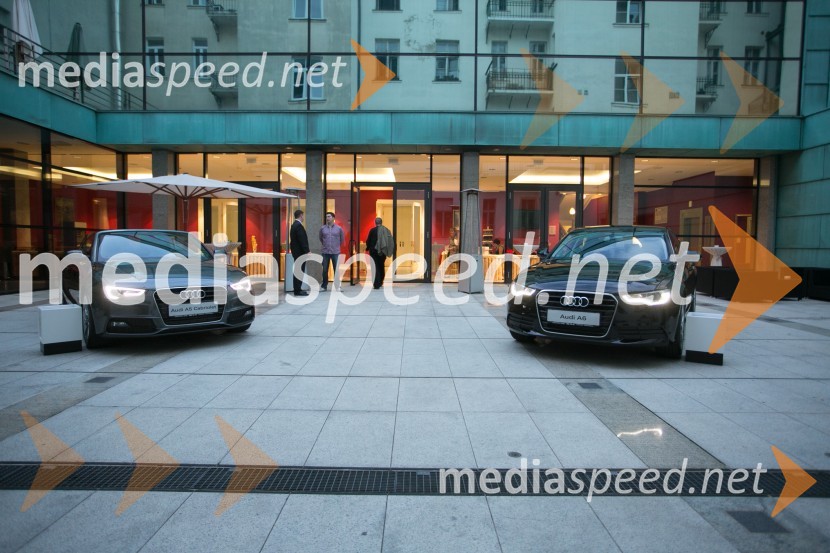 Simfonični koncert z Mednarodnim orkestrom LjubljanaSimfonični koncert z Mednarodnim orkestrom Ljubljana