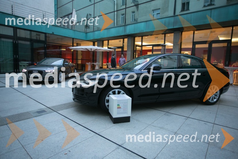 Simfonični koncert z Mednarodnim orkestrom LjubljanaSimfonični koncert z Mednarodnim orkestrom Ljubljana