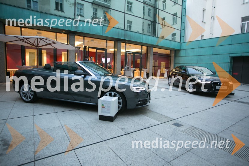 Simfonični koncert z Mednarodnim orkestrom LjubljanaSimfonični koncert z Mednarodnim orkestrom Ljubljana