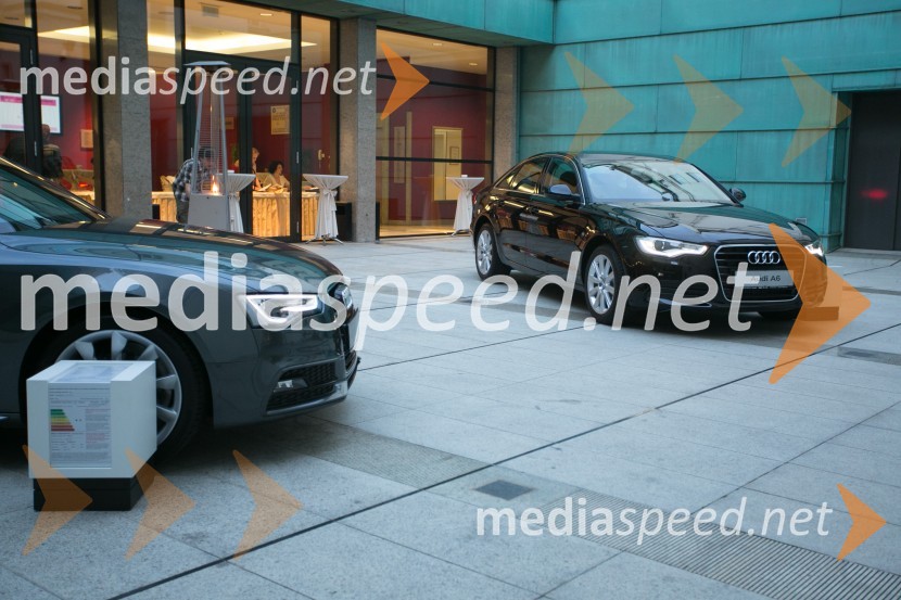 Simfonični koncert z Mednarodnim orkestrom LjubljanaSimfonični koncert z Mednarodnim orkestrom Ljubljana