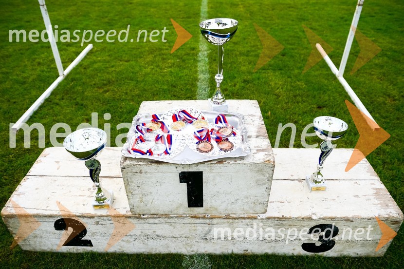 Finalna dirka mednarodnega tekmovanja parov