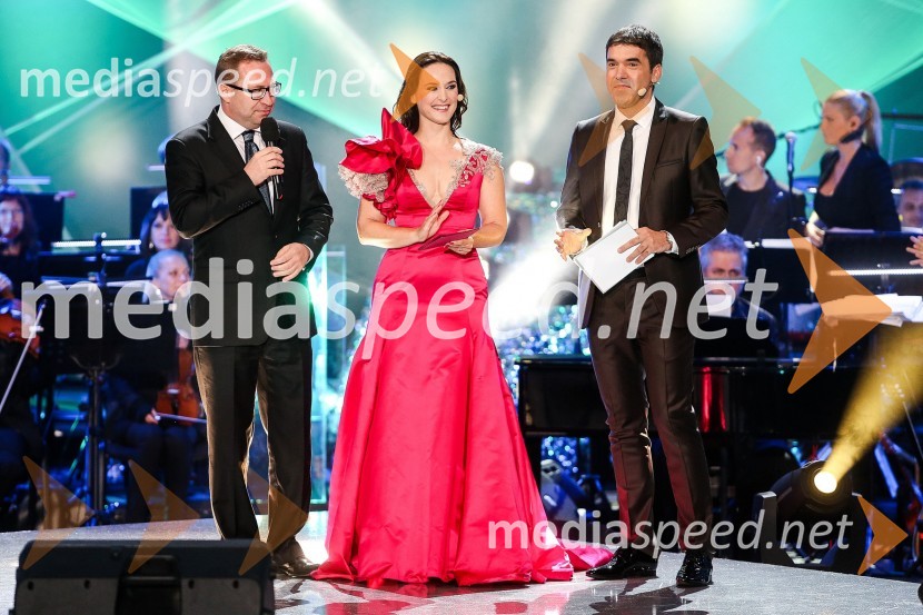 Slovenska popevka 2014