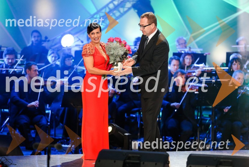 Slovenska popevka 2014