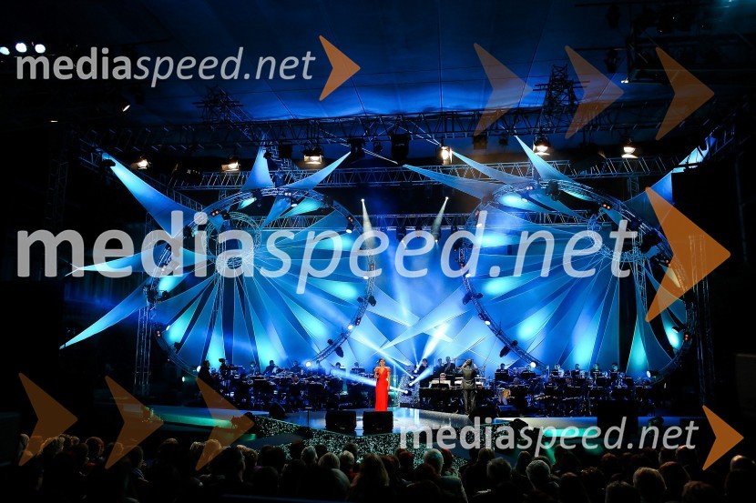 Slovenska popevka 2014