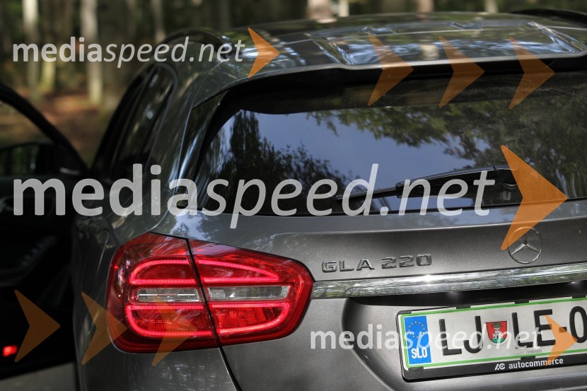 Mercedes-Benz GLA 220 CDI 4MaticMercedes-Benz GLA 220 CDI 4Matic, mediaspeed test