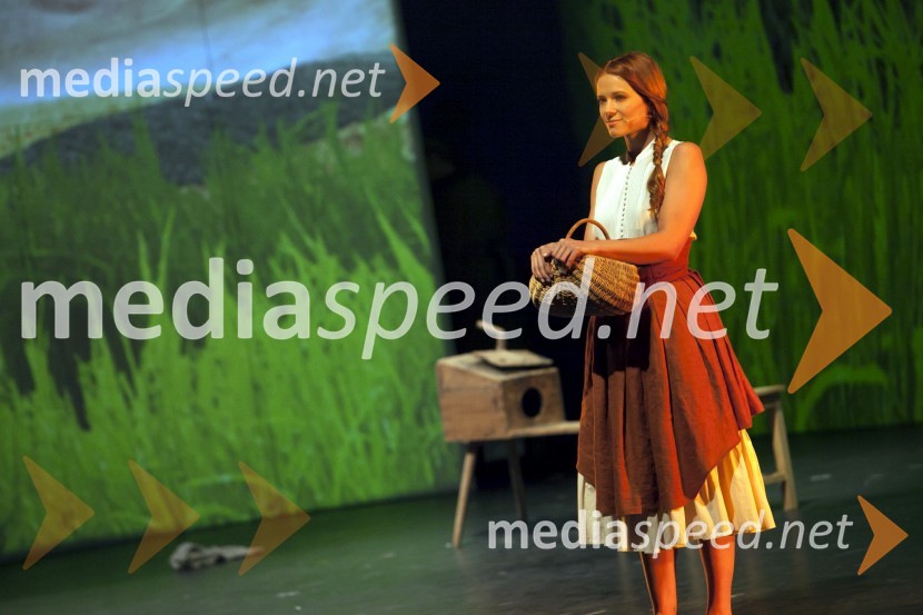  Nina Pušlar, pevkaCvetje v jeseni, premiera muzikala