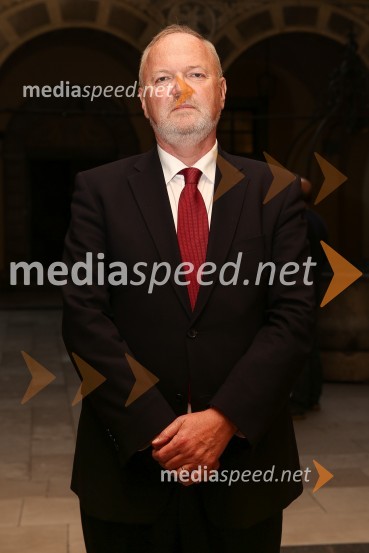 Mestna občina Ljubljana, mestni svet