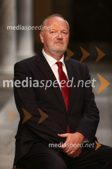 Mestna občina Ljubljana, mestni svet