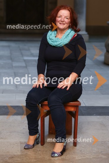 Mestna občina Ljubljana, mestni svet