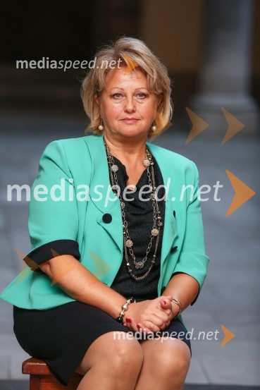 Mestna občina Ljubljana, mestni svet