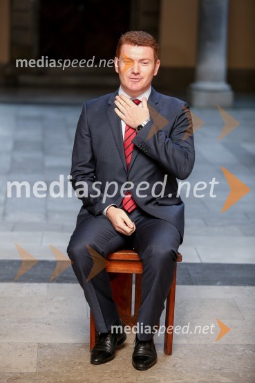 Mestna občina Ljubljana, mestni svet