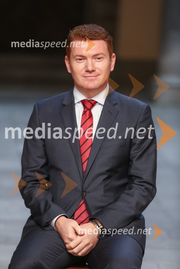 Mestna občina Ljubljana, mestni svet