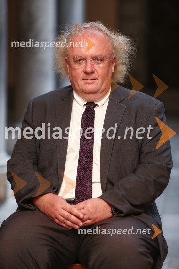 Mestna občina Ljubljana, mestni svet