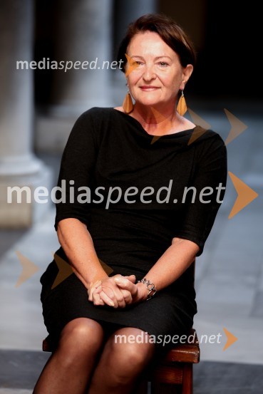 Mestna občina Ljubljana, mestni svet