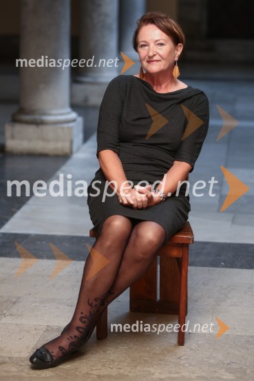 Mestna občina Ljubljana, mestni svet