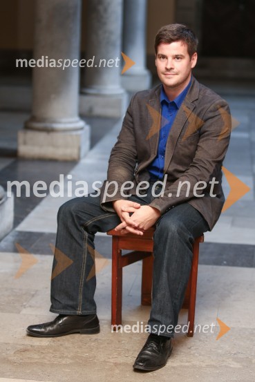 Mestna občina Ljubljana, mestni svet