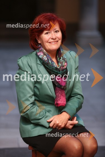 Mestna občina Ljubljana, mestni svet