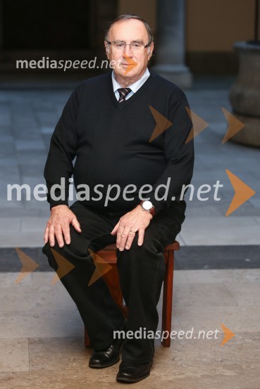 Mestna občina Ljubljana, mestni svet