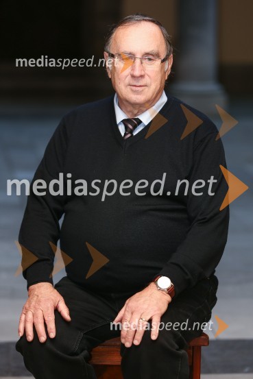 Mestna občina Ljubljana, mestni svet