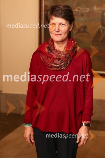 Mestna občina Ljubljana, mestni svet