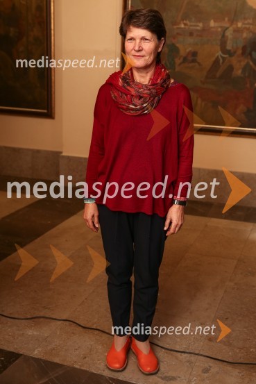 Mestna občina Ljubljana, mestni svet