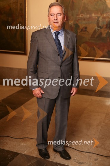 Mestna občina Ljubljana, mestni svet