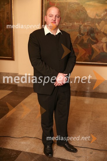 Mestna občina Ljubljana, mestni svet