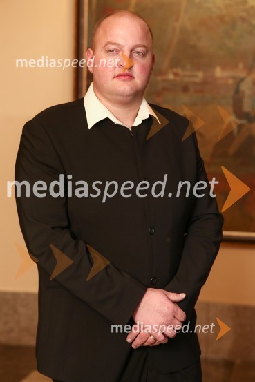 Mestna občina Ljubljana, mestni svet