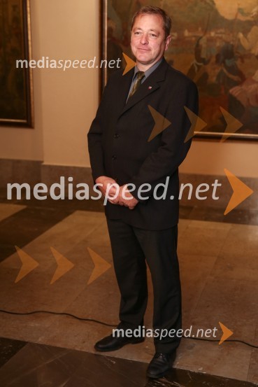 Mestna občina Ljubljana, mestni svet