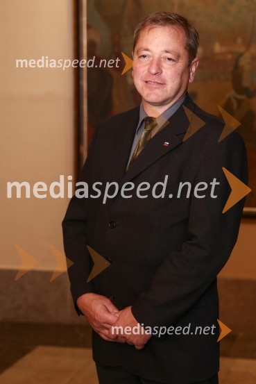 Mestna občina Ljubljana, mestni svet