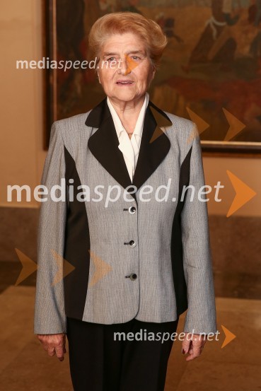 Mestna občina Ljubljana, mestni svet