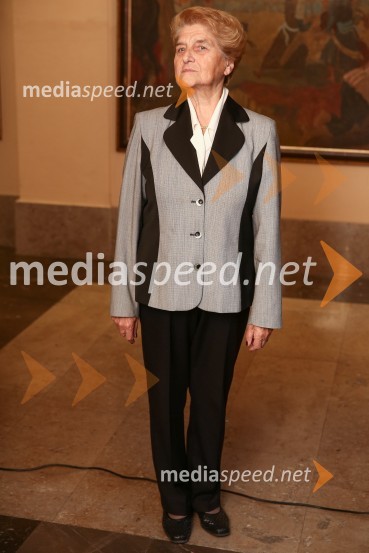 Mestna občina Ljubljana, mestni svet