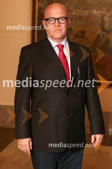 Mestna občina Ljubljana, mestni svet