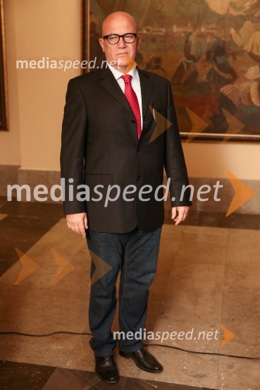 Mestna občina Ljubljana, mestni svet