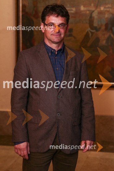 Mestna občina Ljubljana, mestni svet