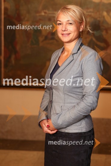 Mestna občina Ljubljana, mestni svet