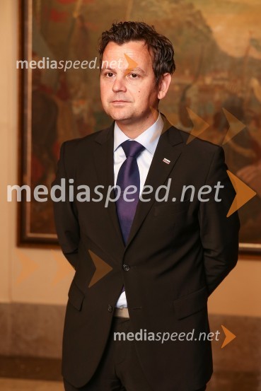 Mestna občina Ljubljana, mestni svet