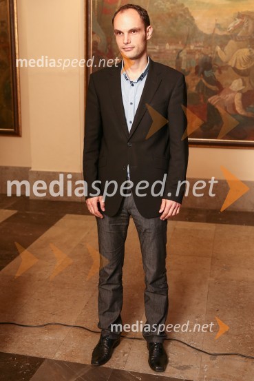 Mestna občina Ljubljana, mestni svet