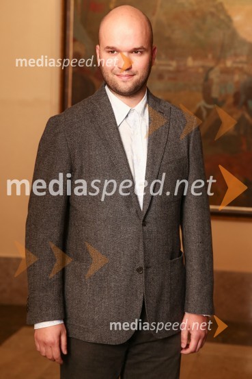 Mestna občina Ljubljana, mestni svet