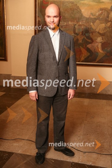 Mestna občina Ljubljana, mestni svet