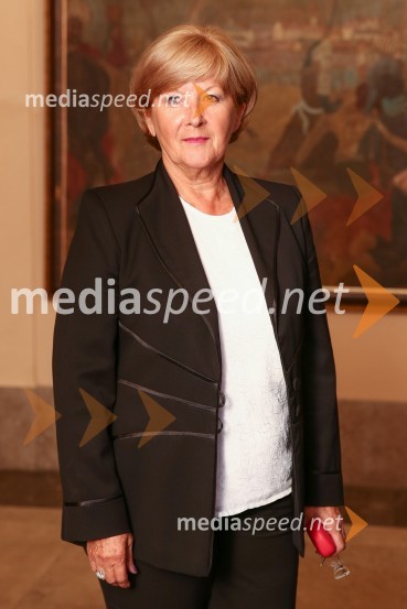 Mestna občina Ljubljana, mestni svet