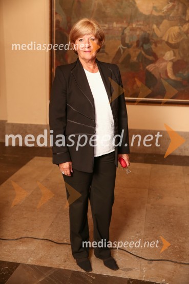 Mestna občina Ljubljana, mestni svet