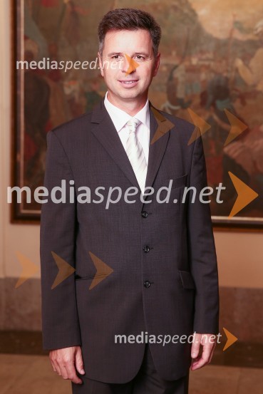 Mestna občina Ljubljana, mestni svet