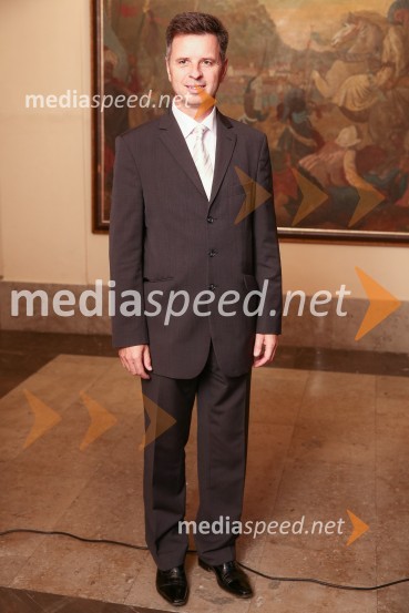 Mestna občina Ljubljana, mestni svet