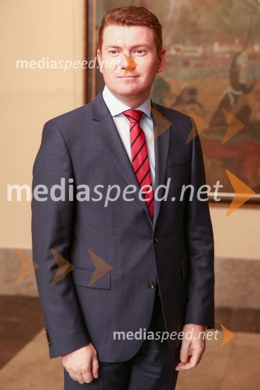 Mestna občina Ljubljana, mestni svet