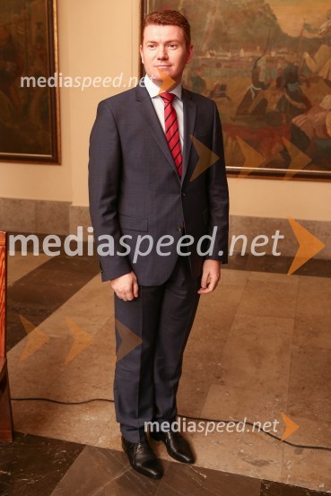 Mestna občina Ljubljana, mestni svet