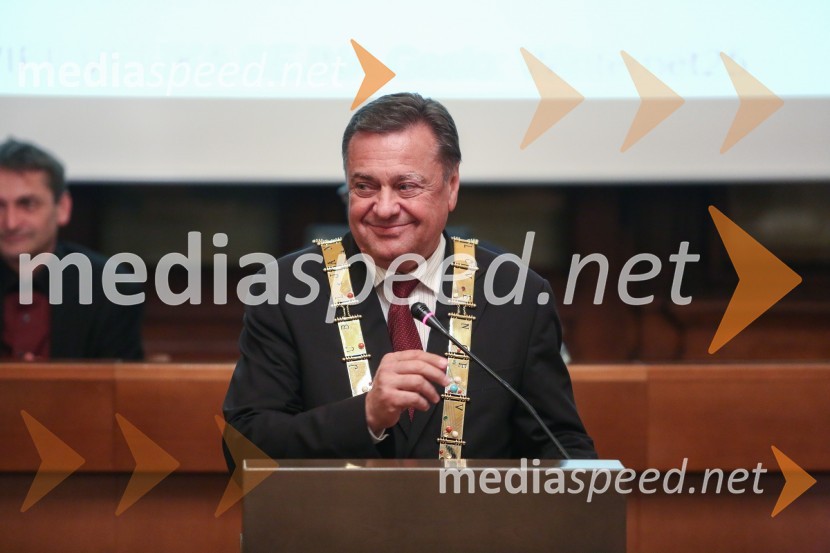 Mestna občina Ljubljana, mestni svet